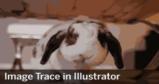 آموزش Image Trace در ایلوستریتور