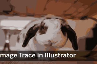 آموزش Image Trace در ایلوستریتور