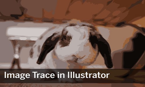 آموزش Image Trace در ایلوستریتور