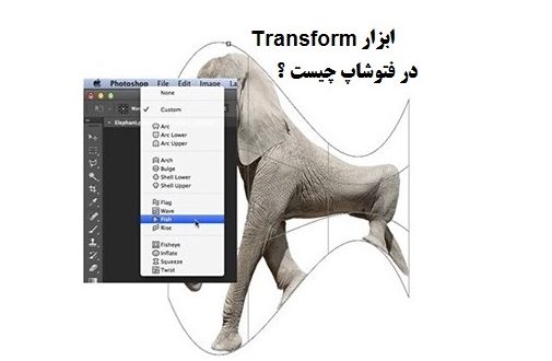 آموزش و کاربرد ابزار Transform در فتوشاپ